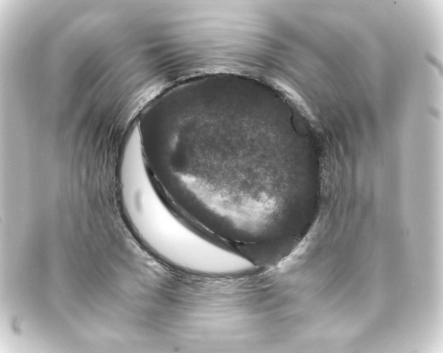 X0000093230977200710241232