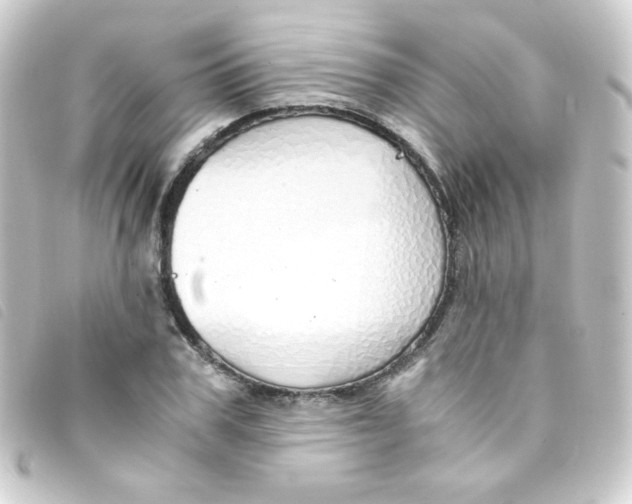 X0000093230979200710241232