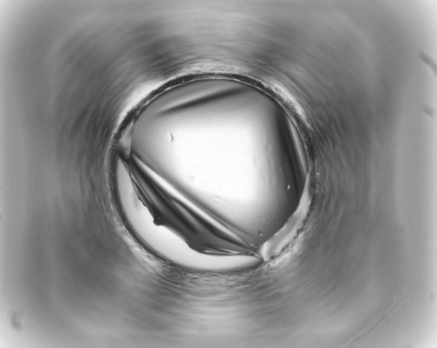 X0000093230981200710241232