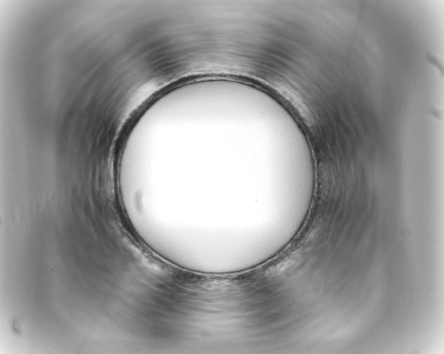 X0000093230982200710241232