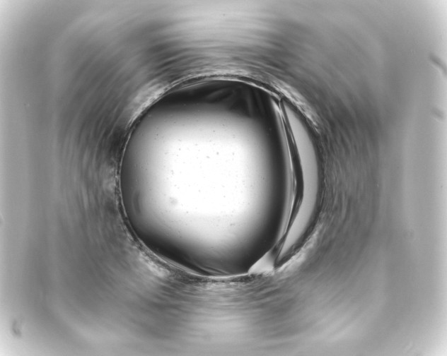 X0000093230985200710241232