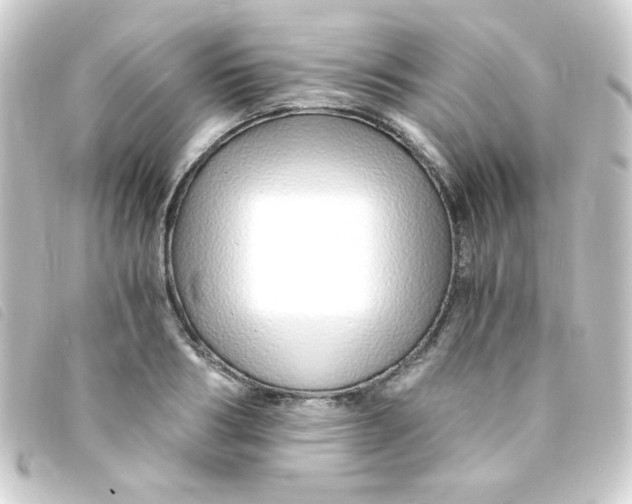 X0000093230986200710241232