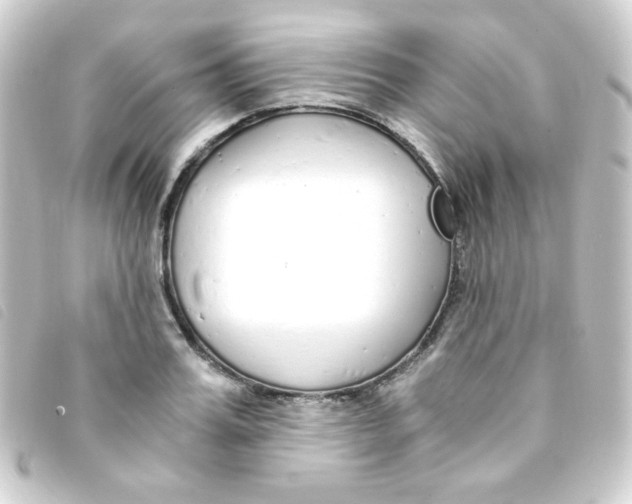 X0000093230987200710241232