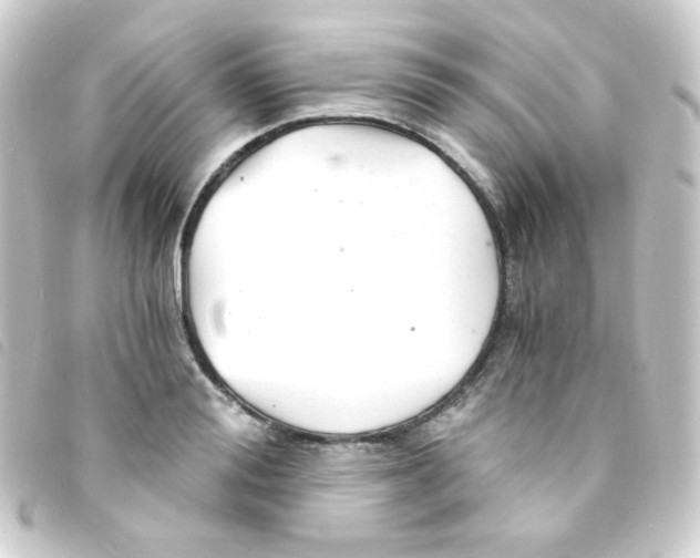 X0000093230988200710241232