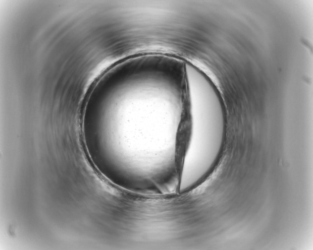 X0000093230989200710241232