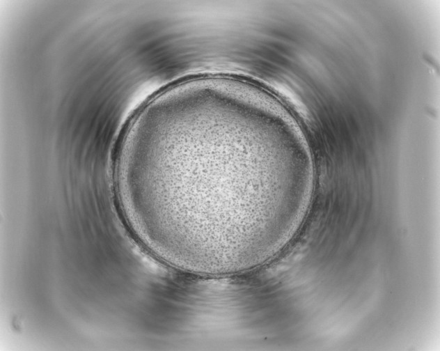 X0000093230990200710241232