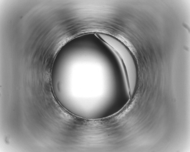 X0000093230993200710241232