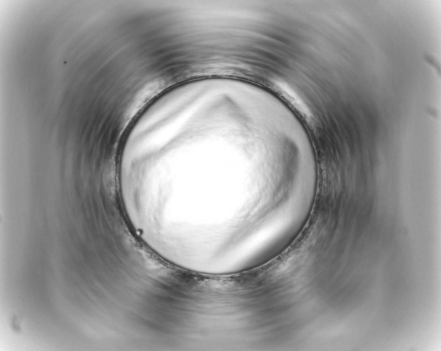 X0000093230994200710241232