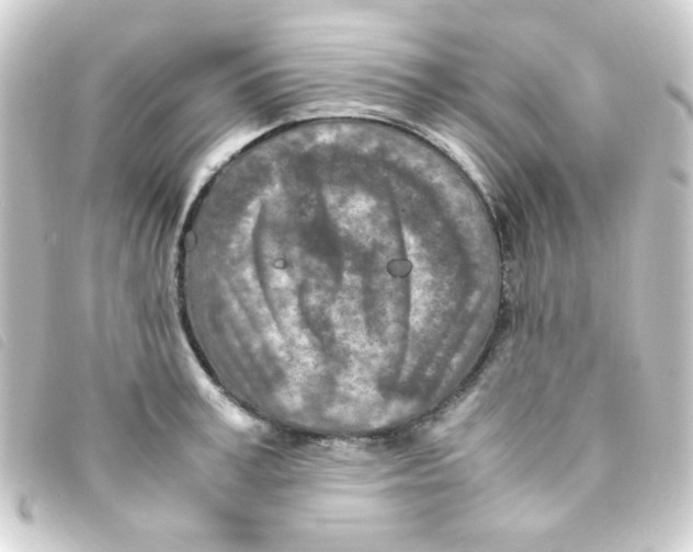 X0000093230995200710241232