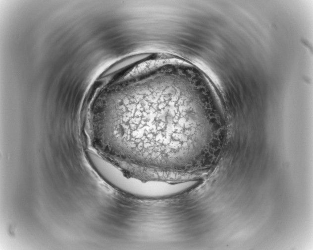 X0000093230996200710241232