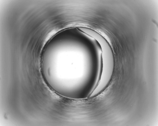 X0000093230997200710241232