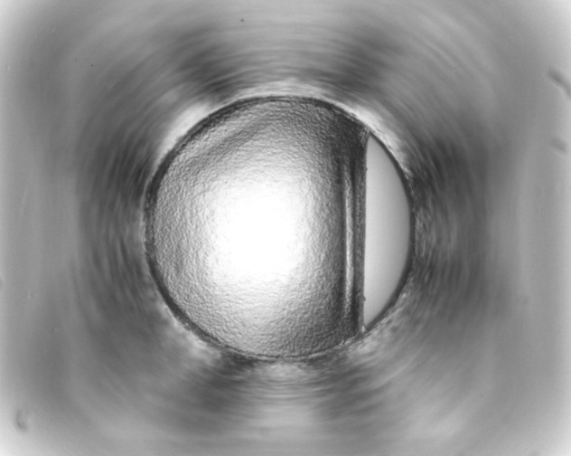 X0000093230998200710241232