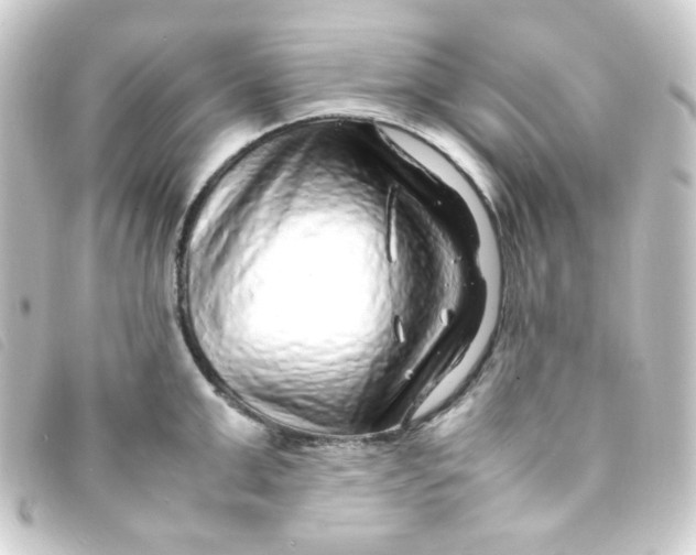 X0000093230999200710241232