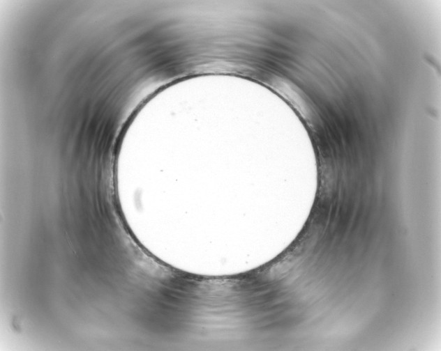 X0000093231000200710241232