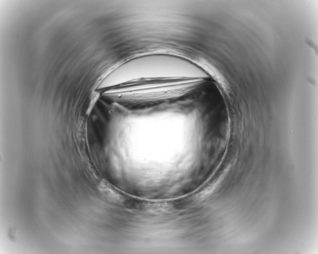 X0000093231001200710241232