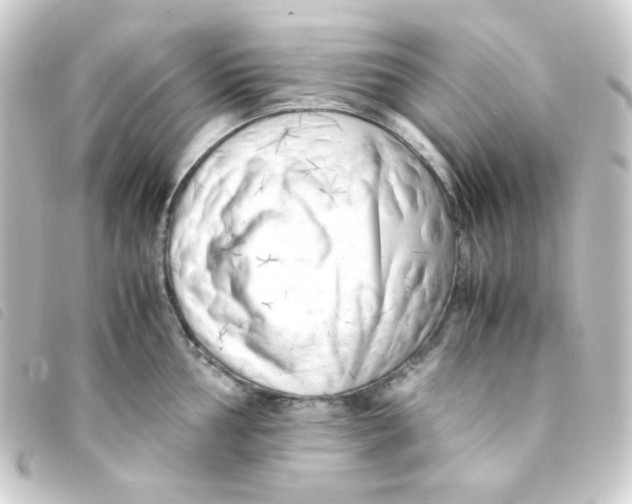 X0000093231002200710241232