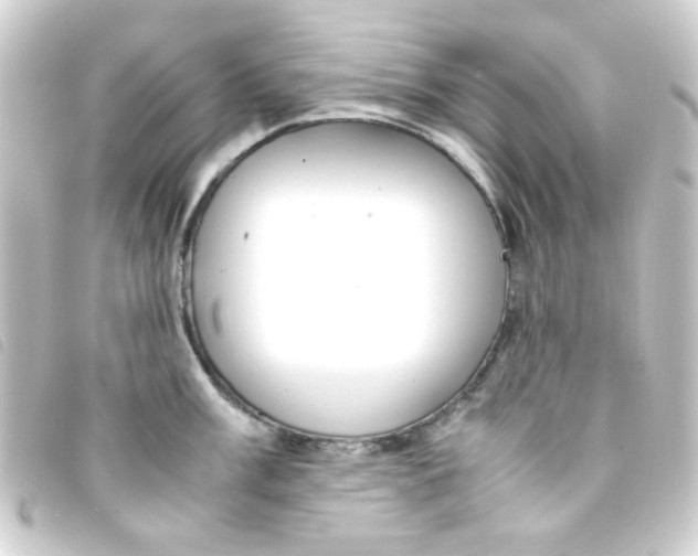 X0000093231003200710241232