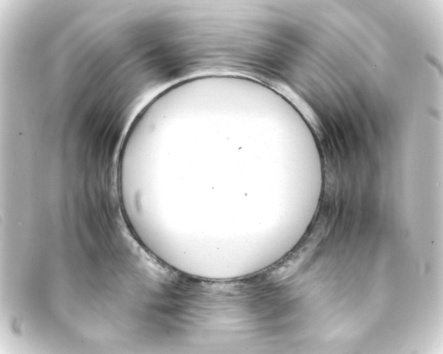 X0000093231004200710241232