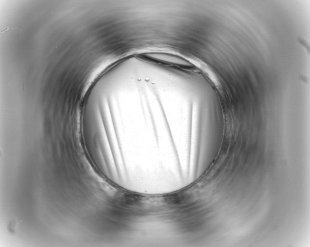 X0000093231006200710241232