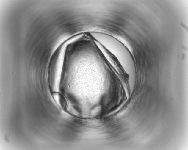 X0000093231007200710241232