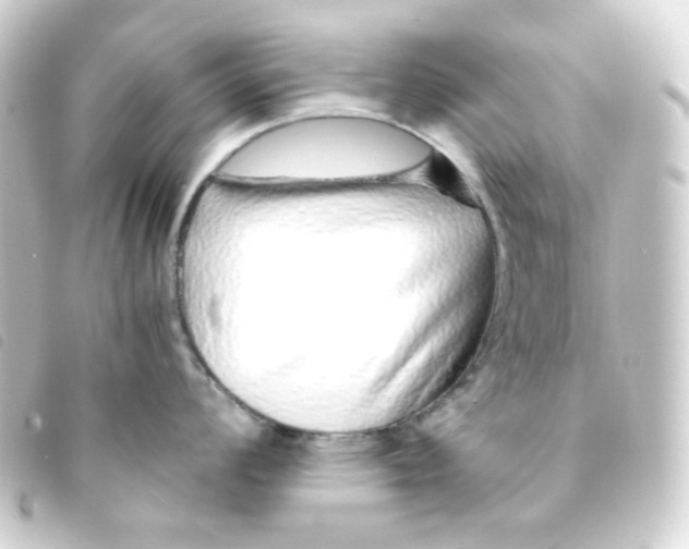 X0000093231008200710241232