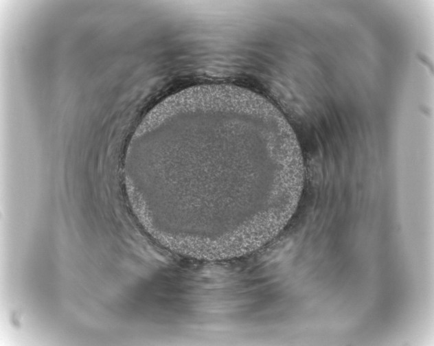 X0000093231009200710241231