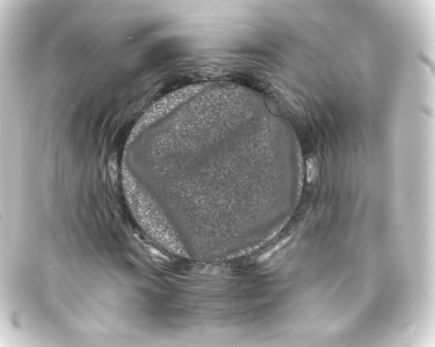 X0000093231011200710241231