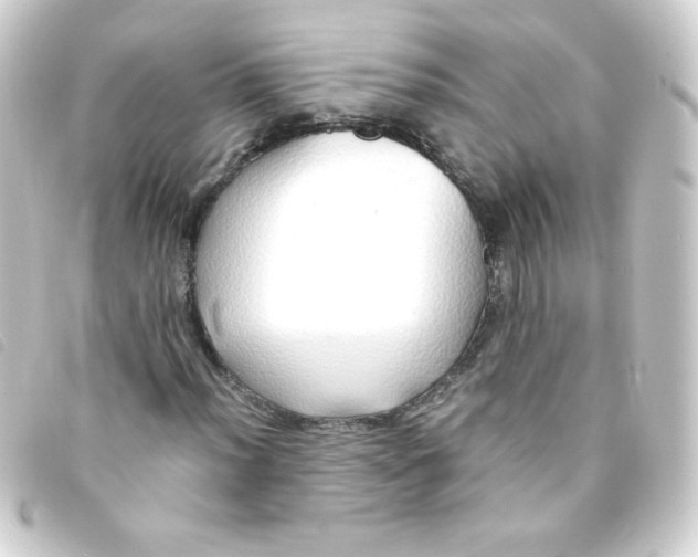 X0000093231012200710241231