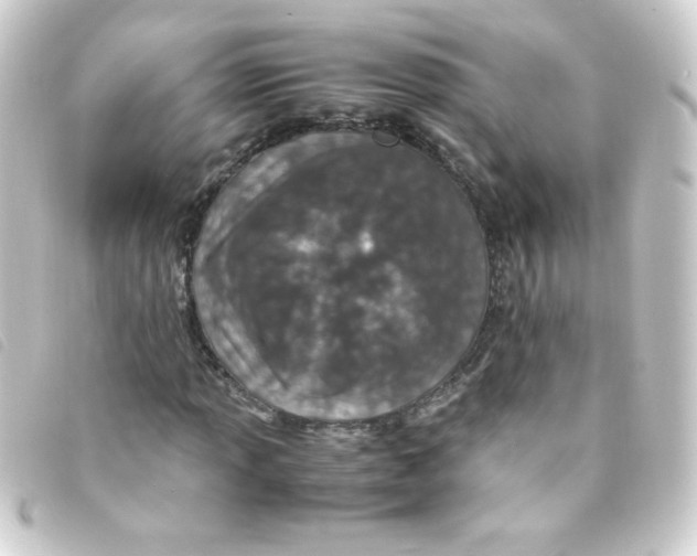 X0000093231013200710241231