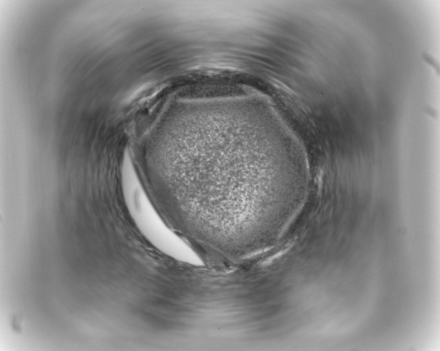 X0000093231014200710241231