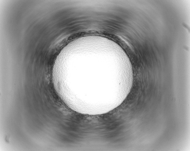 X0000093231015200710241231