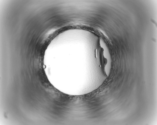 X0000093231016200710241231