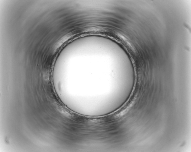 X0000093231017200710241231