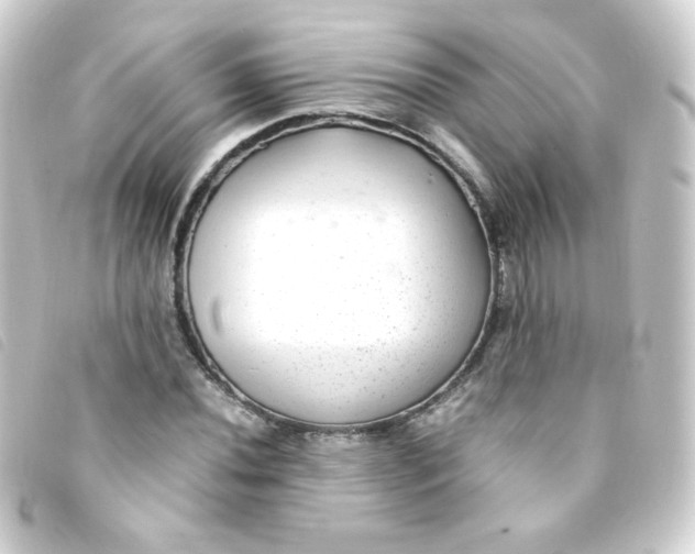 X0000093231020200710241232