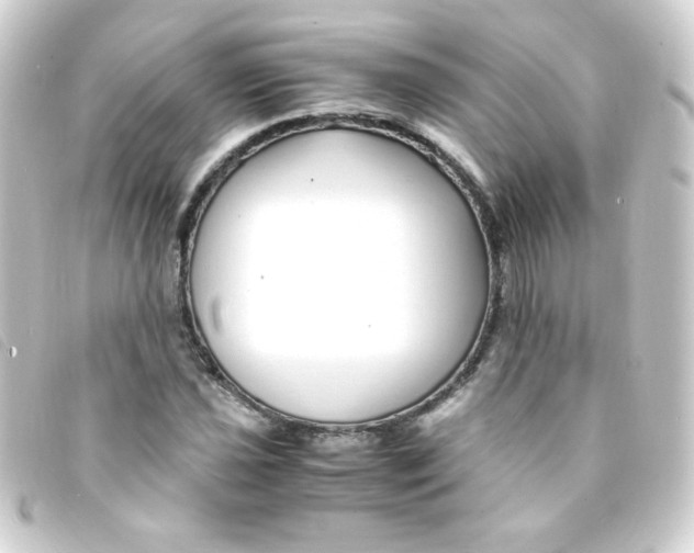 X0000093231021200710241232