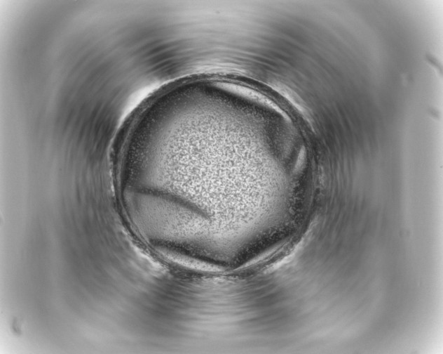 X0000093231022200710241232