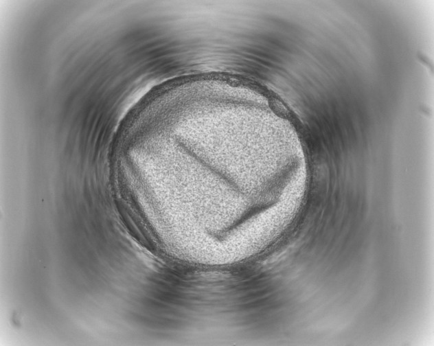 X0000093231023200710241232