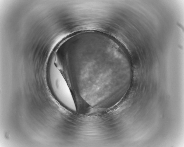 X0000093231024200710241232