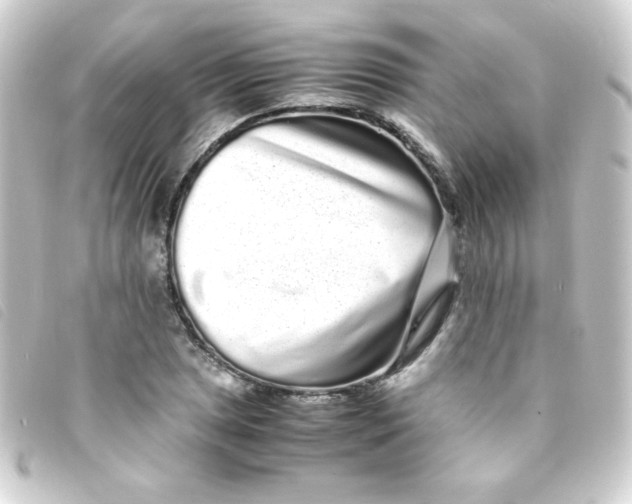 X0000093231025200710241232