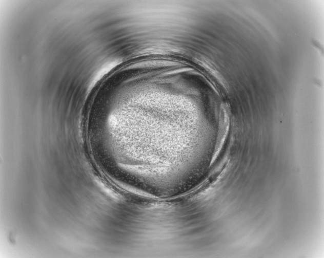 X0000093231026200710241232