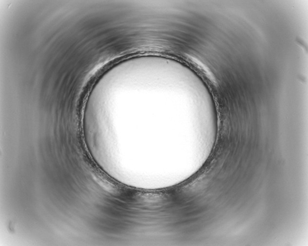 X0000093231027200710241232