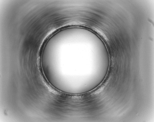 X0000093231029200710241232