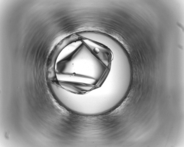 X0000093231030200710241232