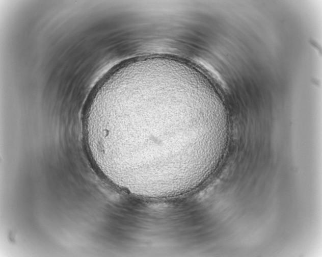 X0000093231031200710241232