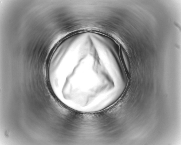 X0000093231032200710241232