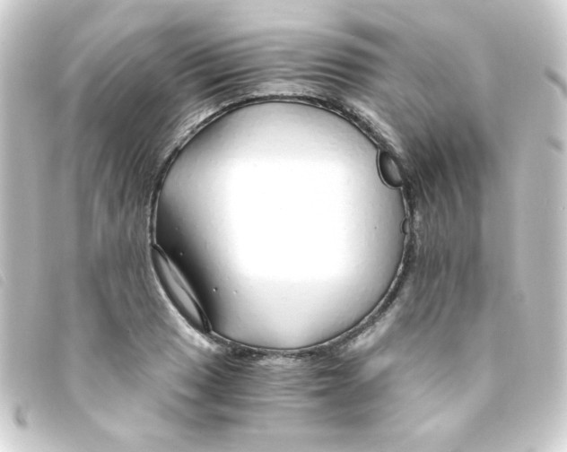 X0000093231033200710241232