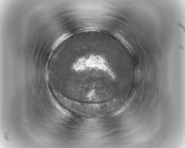 X0000093231034200710241232