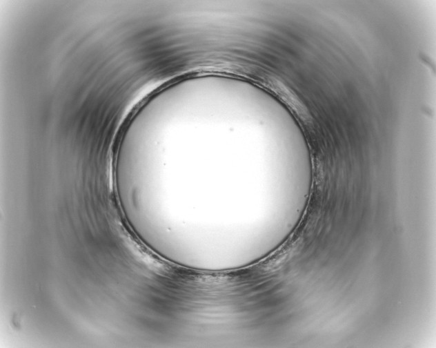 X0000093231036200710241232