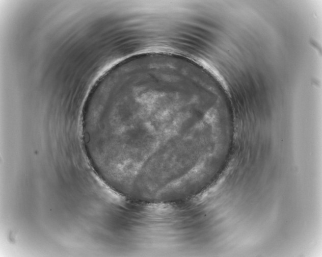 X0000093231037200710241232