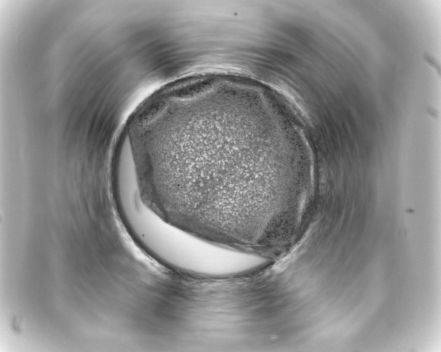 X0000093231038200710241232